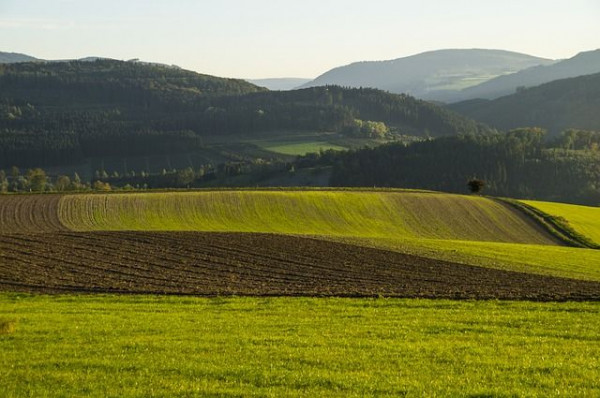 Poľnohospodárska pôda ako ukážka možných miest kontaminácie