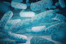 Teplá voda a Legionella